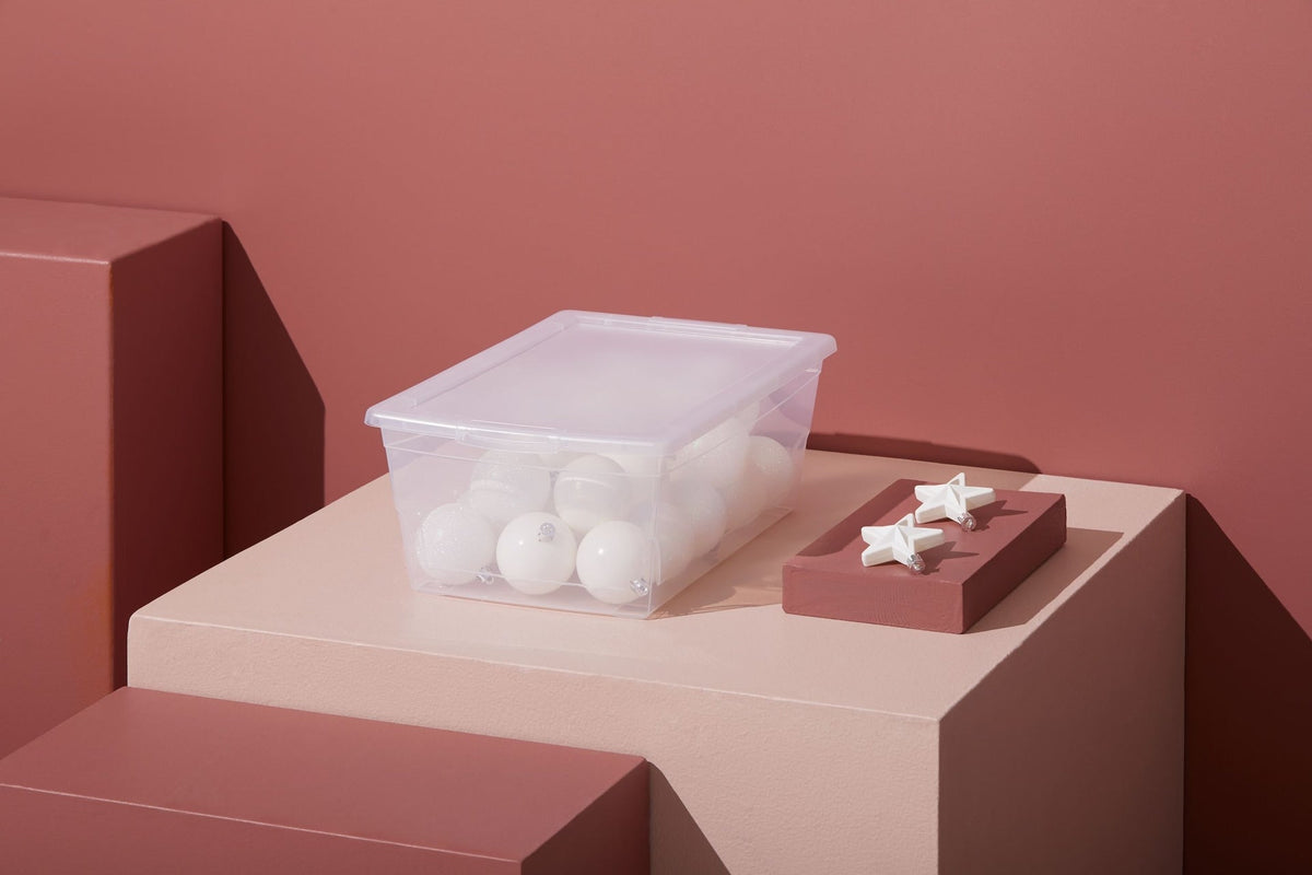 Clarity Transparent Storage Box with Lid, 9-L