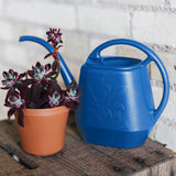 Indoor Plastic Watering Can, 4.25-L