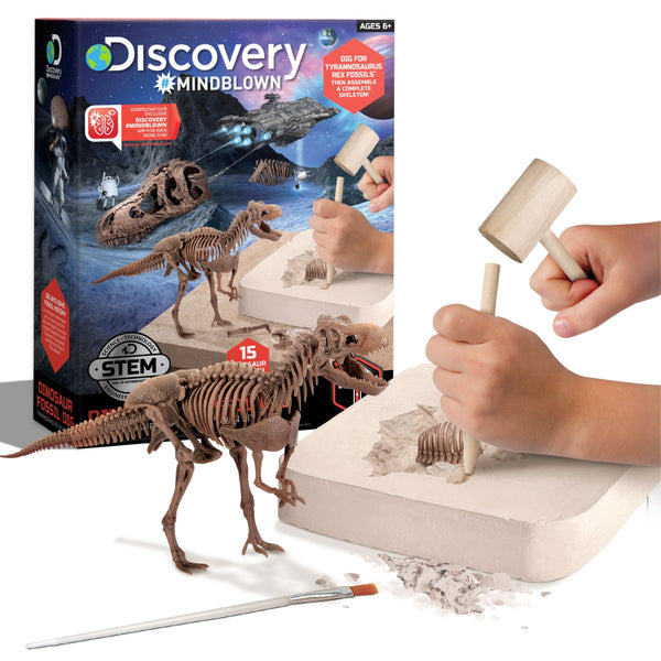 Dinosaur Skeleton T-Rex 3D Puzzle Excavation Kit/Educational Toy for Ages 6+ U3409