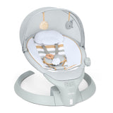 2-in-1 Bounce and Sway Baby Swing