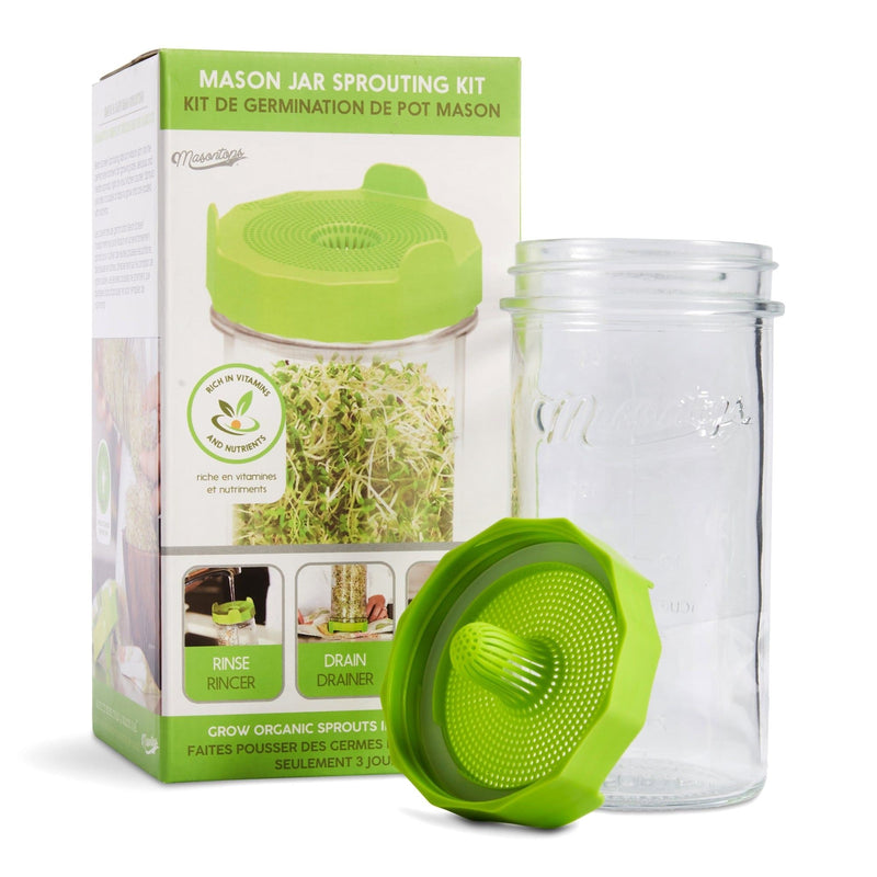 Single Mason Jar Sprouting Kit with Seeds, 3-pc V4516