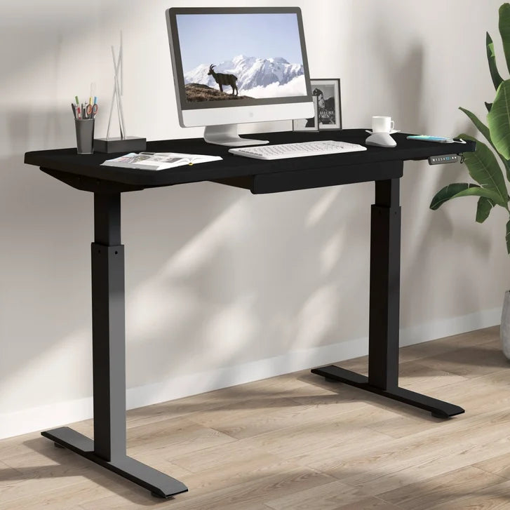 Motionwise 121.9 cm x 61 cm (48 in. x 24 in.) Height Adjustable Desk O2993