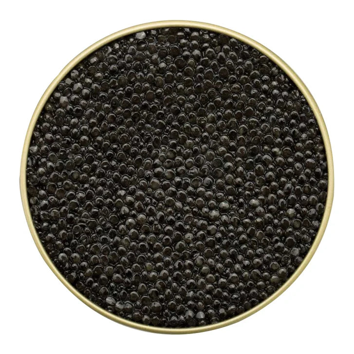 Quintessence Oscietra Sturgeon Caviar 100 g