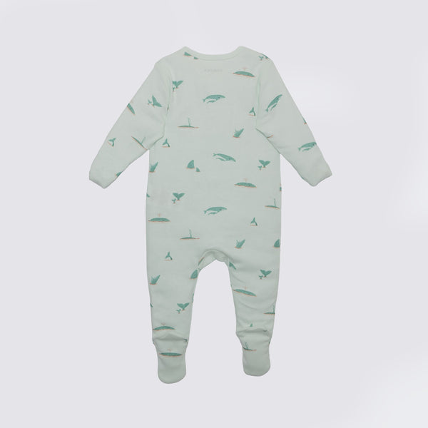 Whale Print Premium Organic Cotton Play and Grow Zippy, Various Sizes W3186