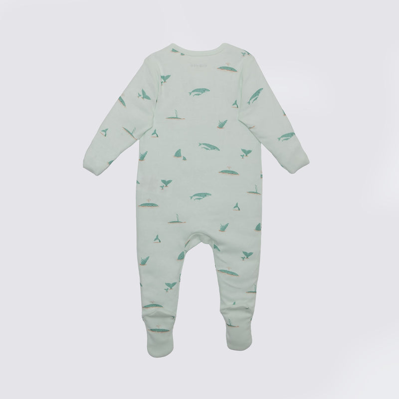 Whale Print Premium Organic Cotton Play and Grow Zippy, Various Sizes W3186
