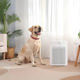 Winix C545 Air Purifier with True HEPA Filter Set