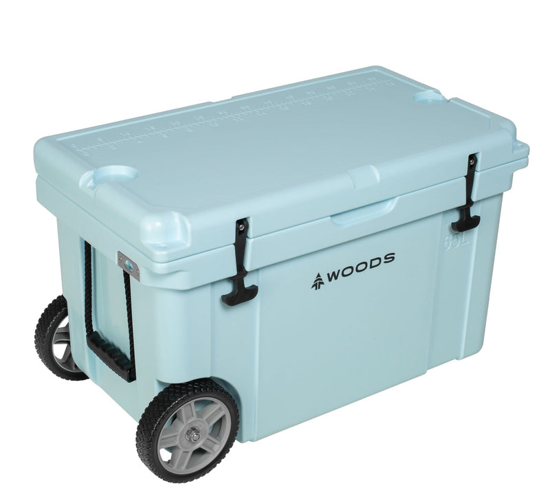 ARCTIC Wheeled Roto-Moulded Cooler with Handle, 65-L, Light Blue Z2279